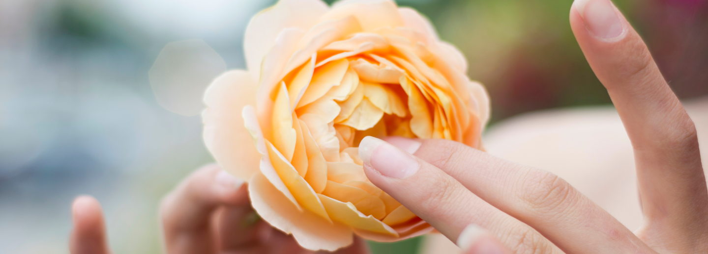 Assistência Funeral 24h